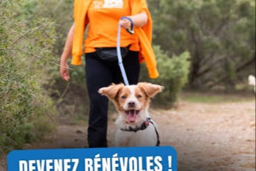 Devenez bénévole au refuge de la SPA de Montpellier !