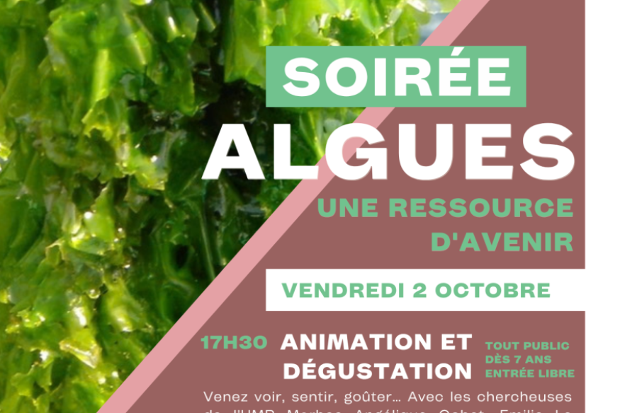 SAINT JEAN DE VEDAS Les Algues : ressource d'avenir!