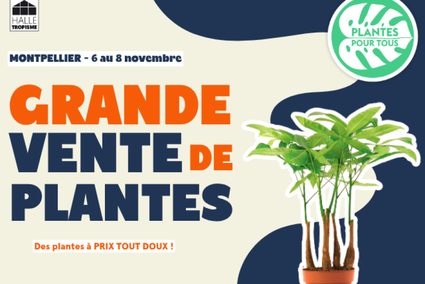 MONTPELLIER Plantes à petits prix